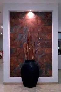 Hotel Marlyn Puerto Vallarta 3*,